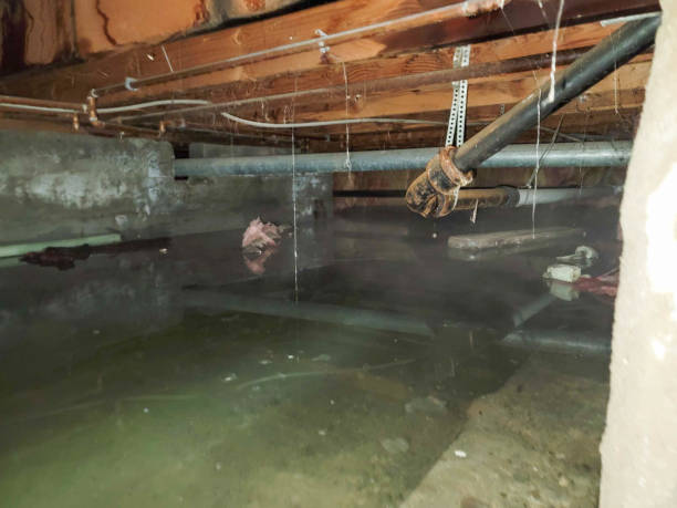 Trusted Blackwater, AZ Water damage restoration Experts