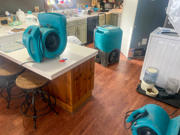 Best Professional water damage repair  in Blackwater, AZ