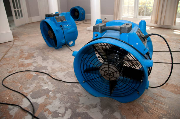 Best Water damage restoration services  in Blackwater, AZ