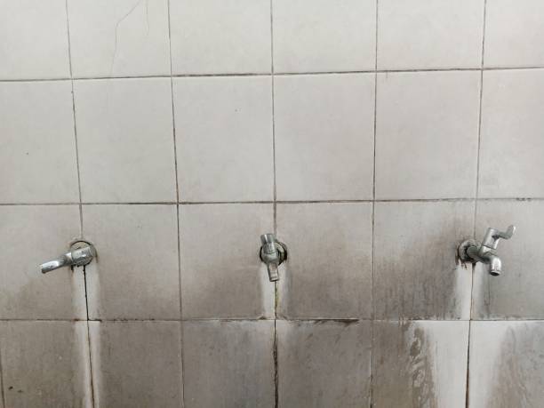 Best Water damage restoration near me  in Blackwater, AZ