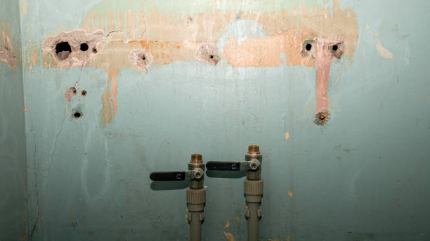 Best Residential water damage restoration  in Blackwater, AZ