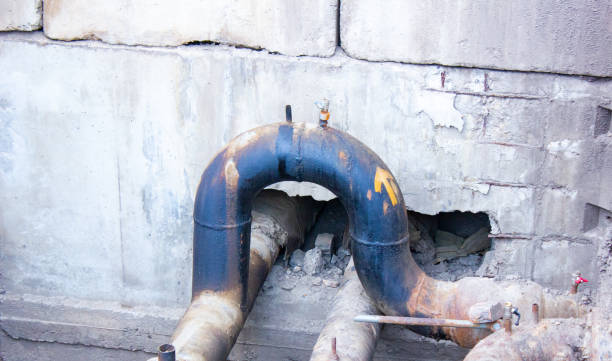 Best Water damage restoration specialists  in Blackwater, AZ