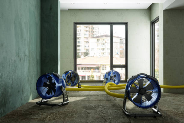 Best Ceiling water damage repair  in Blackwater, AZ