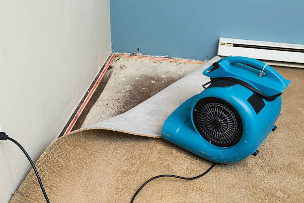 Water damage restoration process in Blackwater, AZ
